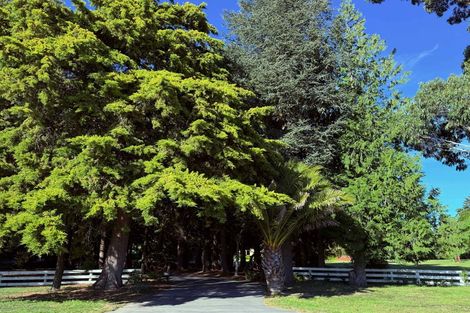 Photo of property in 206 Beach Road East, Elgin, Ashburton, 7777