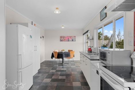 Photo of property in 46 Gorge Road, Maungaturoto, 0520