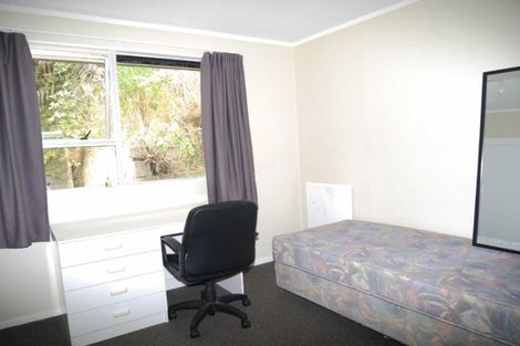 Photo of property in 19 Mamaku Street, Paraparaumu, 5032