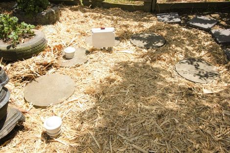 Photo of property in 202 Brunswick Road, Brunswick, Whanganui, 4571