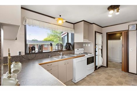 Photo of property in 54 Newcastle Road, Dinsdale, Hamilton, 3204