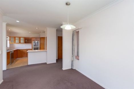 Photo of property in 127 Macfarlane Street, Hamilton East, Hamilton, 3216