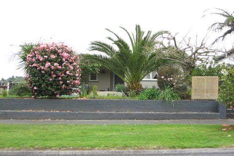 Photo of property in 37 Cracroft Street, Waitara, 4320