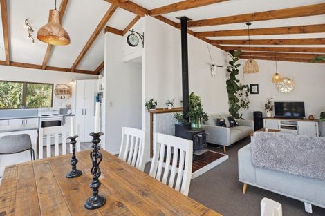 Photo of property in 119 Lowe Avenue, Thames, 3500