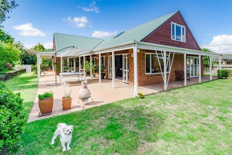 Photo of property in 9 Compass Court, Paraparaumu, 5032