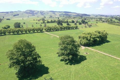 Photo of property in 231 Grice Road, Rotoorangi, Cambridge, 3495