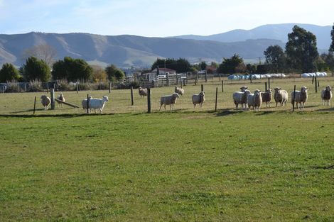Photo of property in 1 James Street, Waimate, 7980