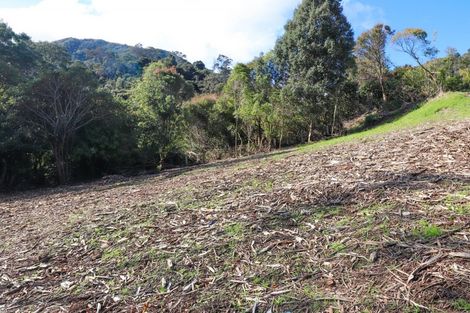 Photo of property in 104a Irishtown Road, Thames, 3500