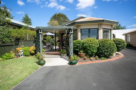 Photo of property in 28a Pope Terrace, Leamington, Cambridge, 3432