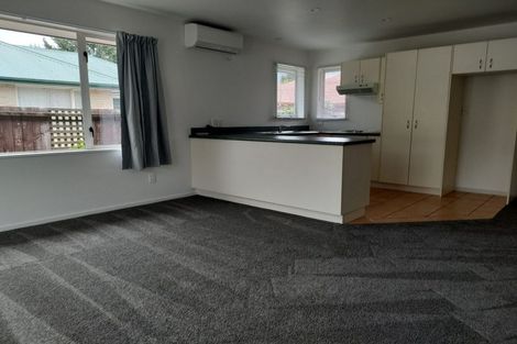 Photo of property in 57a Opawa Road, Waltham, Christchurch, 8023