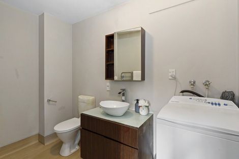 Photo of property in Palm Grove Apartments, 11/13d Palm Grove, Berhampore, Wellington, 6023