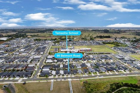 Photo of property in 99 Belmont Road, Pukekohe, 2120