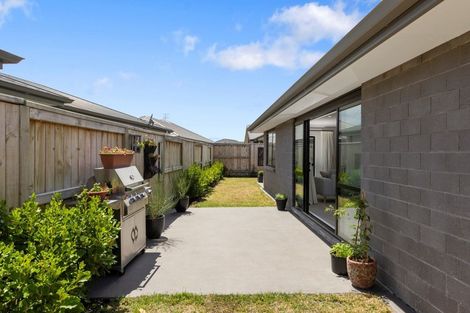 Photo of property in 63 Te Ranga Memorial Drive, Pyes Pa, Tauranga, 3112