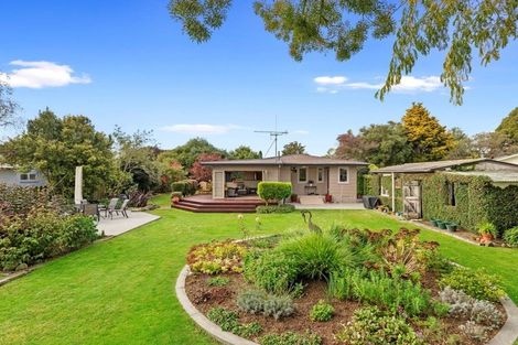 Photo of property in 13 Shelley Street, Leamington, Cambridge, 3432