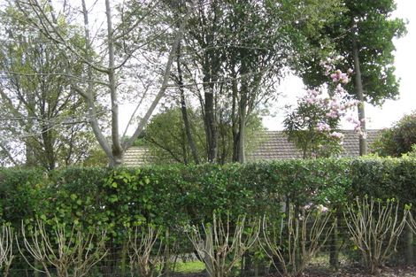 Photo of property in 32 Wi Pere Street, Manakau, 5573