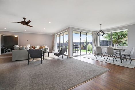 Photo of property in 19 Waterford Road, Tinwald, Ashburton, 7700