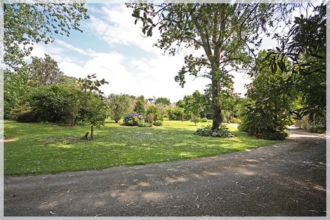 Photo of property in 1205 State Highway 57, Shannon, Palmerston North, 4474
