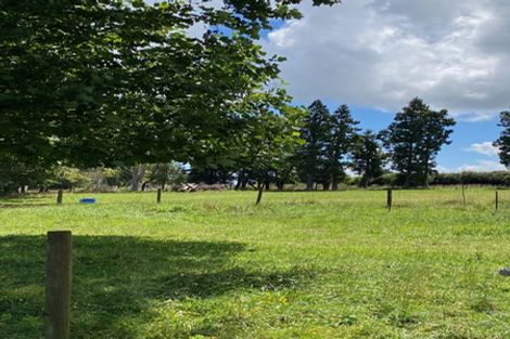 Photo of property in 67 Andrews Road, Onewhero, Tuakau, 2697