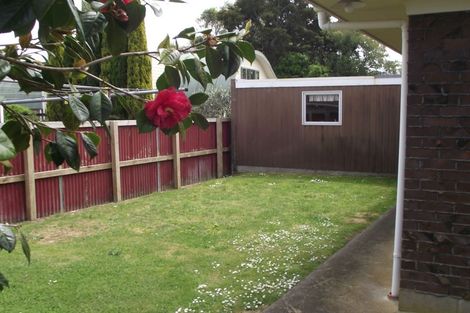 Photo of property in 23b Victoria Avenue, Morrinsville, 3300