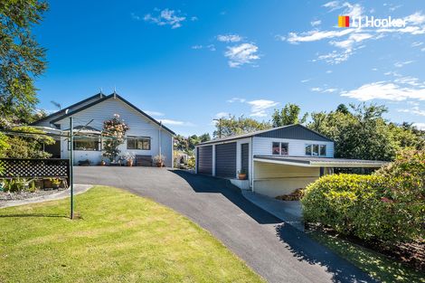 Photo of property in 40 Barr Street, Kenmure, Dunedin, 9011