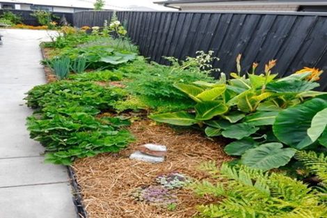 Photo of property in 45 Zabeel Street, Lincoln, 7608