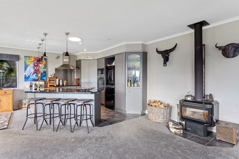 Photo of property in 131b Hogg Road, Rotoma, Whakatane, 3192