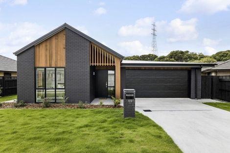 Photo of property in 173 Adler Drive, Ohauiti, Tauranga, 3112