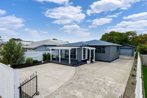 Photo of property in 486 Tremaine Avenue, Takaro, Palmerston North, 4410