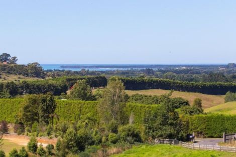 Photo of property in 225b Woodland Road, Tahawai, Katikati, 3170