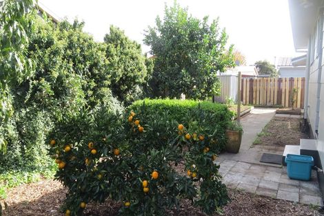 Photo of property in 2b Oak Avenue, Nawton, Hamilton, 3200