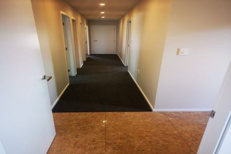 Photo of property in 37 Sussex Street, Levin, 5510