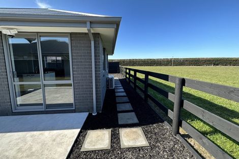 Photo of property in 36 Plover Avenue, Amberley, 7410