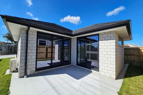 Photo of property in 5a Massey Street, Westown, New Plymouth, 4310