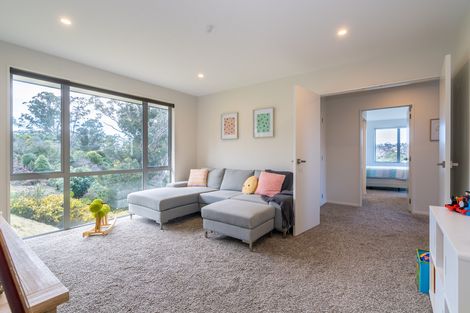 Photo of property in 2d Belford Street, Waverley, Dunedin, 9013