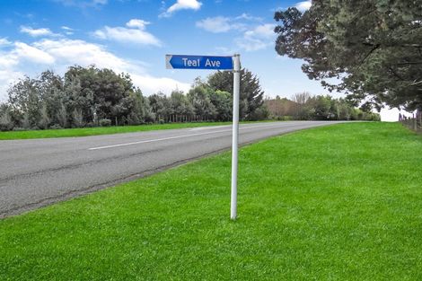 Photo of property in 17c Teal Avenue, Feilding, 4775