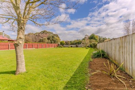 Photo of property in 113a Fergusson Street, Woodville, 4920