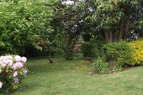 Photo of property in 22 Cobham Drive, Morrinsville, 3300