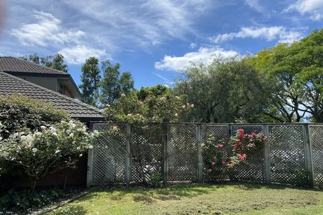 Photo of property in 79 Armstrong Road, Te Puna, Tauranga, 3174