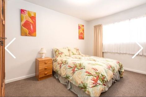 Photo of property in 123 Sparks Road, Hoon Hay, Christchurch, 8025