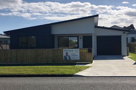 Photo of property in 28 Lethbridge Street, Feilding, 4702