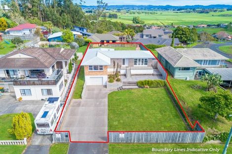Photo of property in 53 Newcastle Road, Dinsdale, Hamilton, 3204