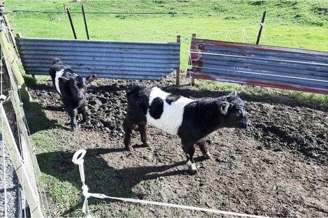 Photo of property in 1106 Puketotara Road, Okaihau, 0295