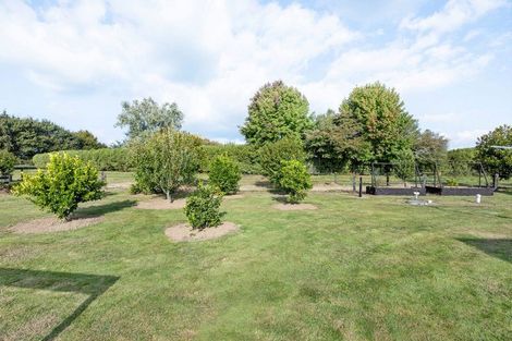 Photo of property in 11 South Oaks Close, Pukemoremore, Cambridge, 3493