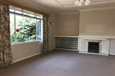 Photo of property in 5 Leven Street, Roslyn, Dunedin, 9010