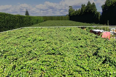 Photo of property in 186 Beach Road, Katikati, 3178