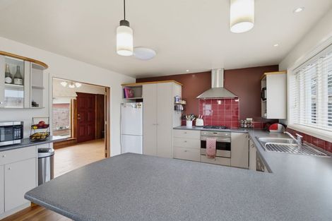 Photo of property in 91 Dunford Street, Rakaia, 7710