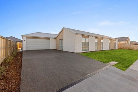 Photo of property in 20 Greig Crescent, Amberley, 7410