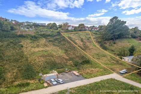 Photo of property in 60 Frasers Road, Glenross, Dunedin, 9011