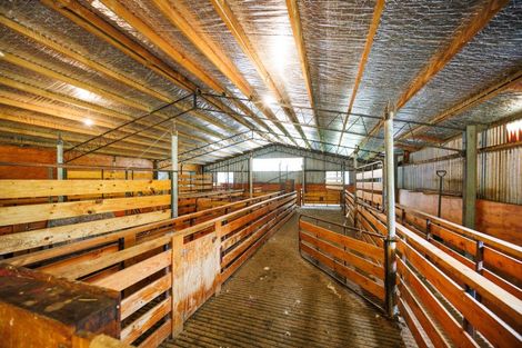 Photo of property in 29 Kuku Road, Pohangina, Ashhurst, 4884