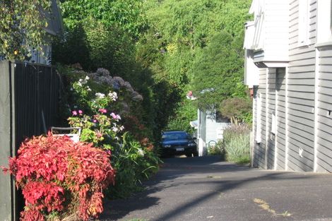 Photo of property in 19 Haast Street, Remuera, Auckland, 1050